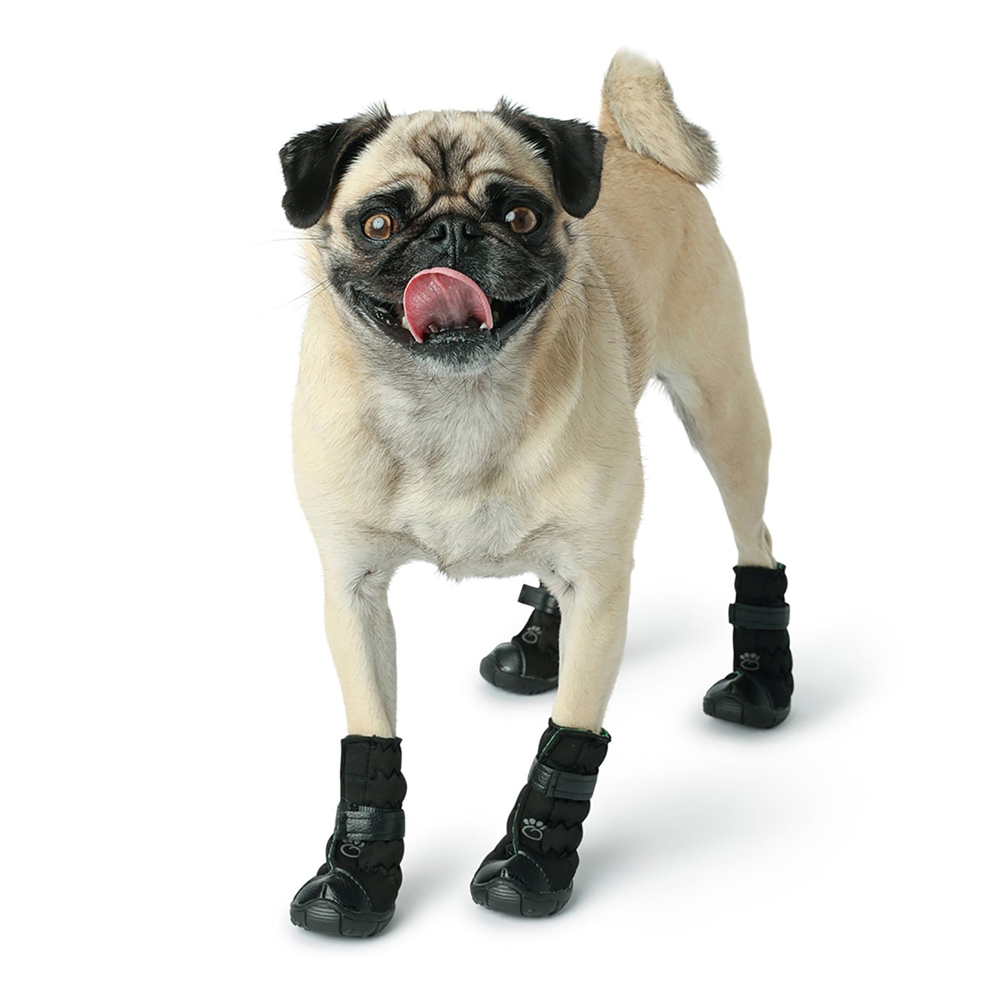Bottes pour chien toutes saisons Elasto-Fit®