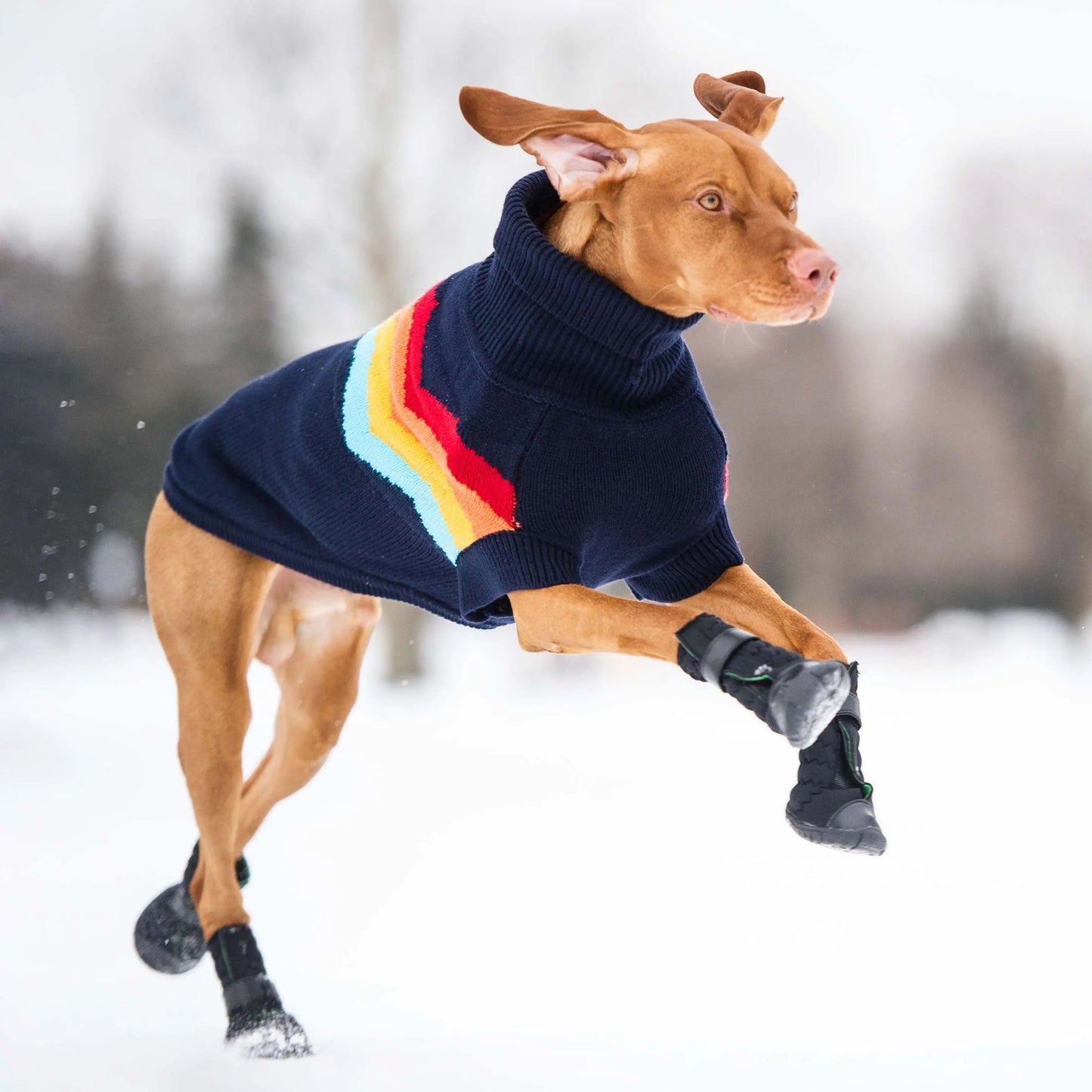 Bottes pour chien toutes saisons Elasto-Fit®