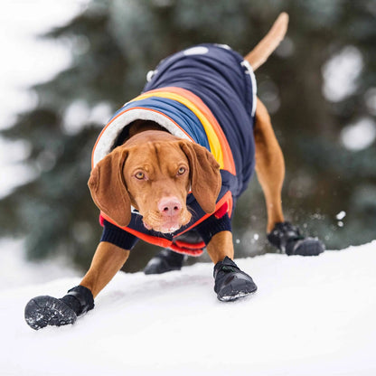 Bottes pour chien toutes saisons Elasto-Fit®