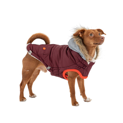 Parka d'hiver pour chien Marine - Bordeaux