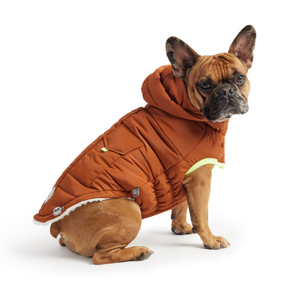 Parka de luxe pour chien « Super Puff » – Noisette