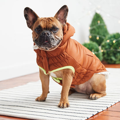 Parka de luxe pour chien « Super Puff » – Noisette