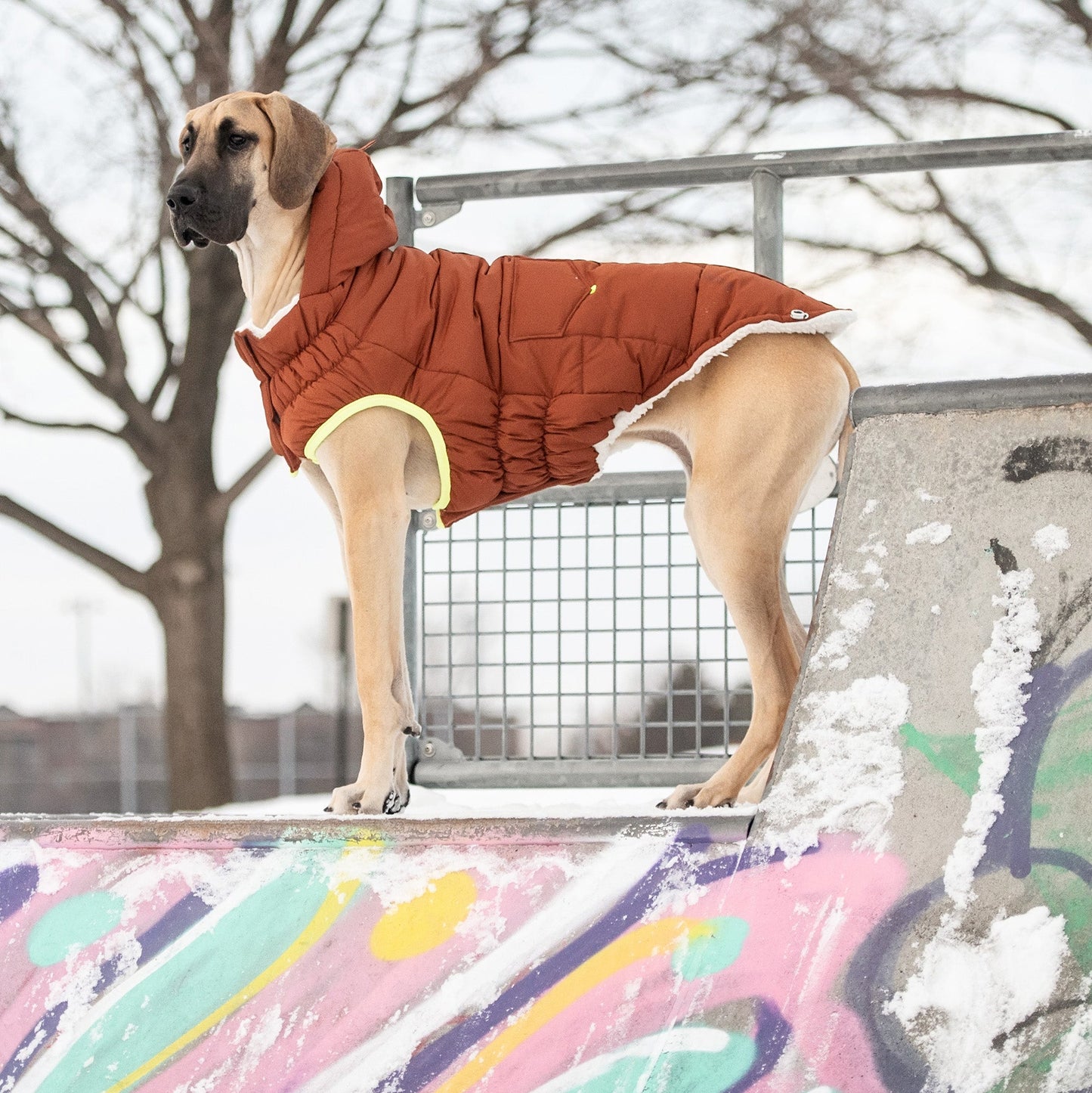 Parka de luxe pour chien « Super Puff » – Noisette