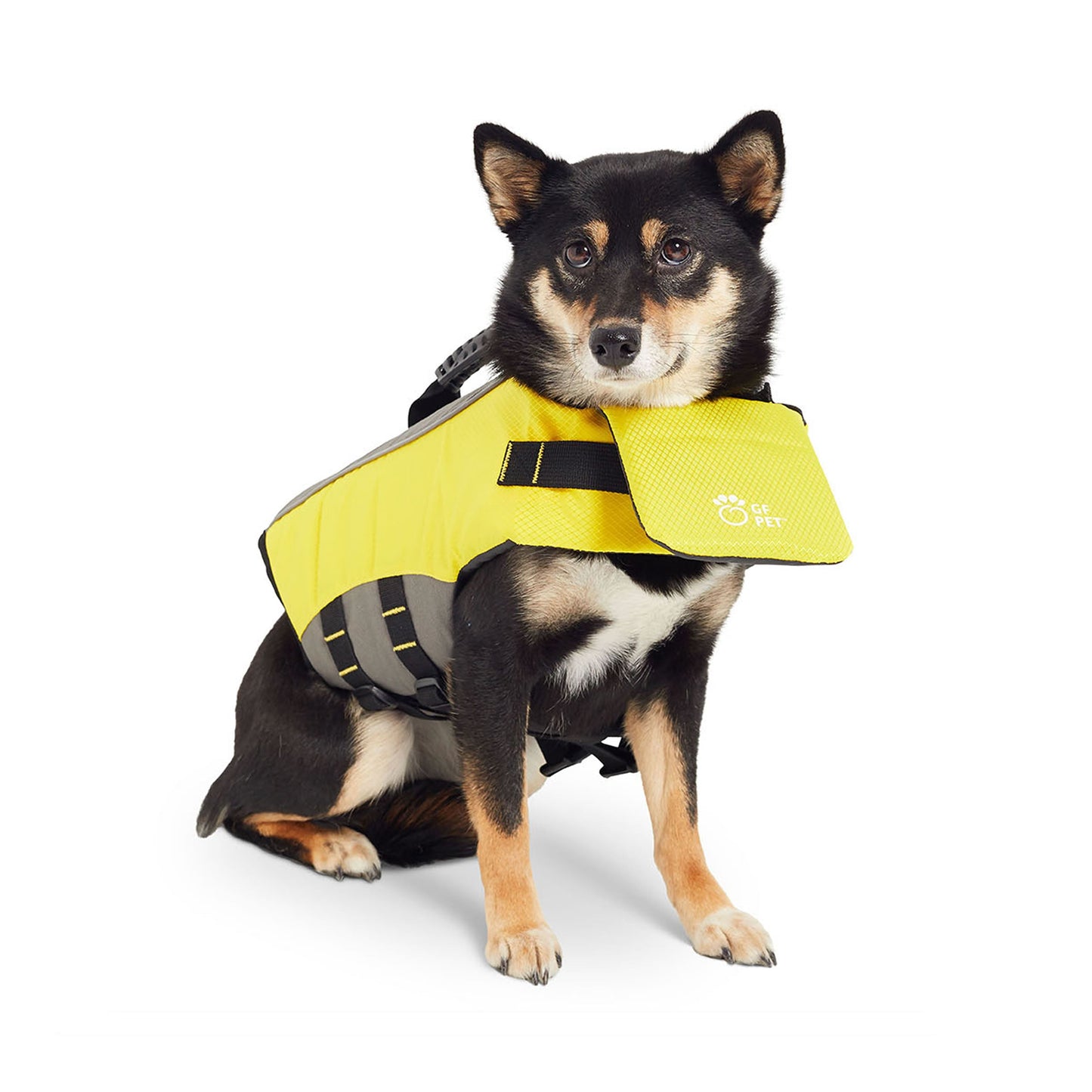 Gilet de sauvetage réfléchissant haute flottabilité pour chien