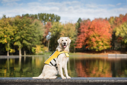 Gilet de sauvetage réfléchissant haute flottabilité pour chien