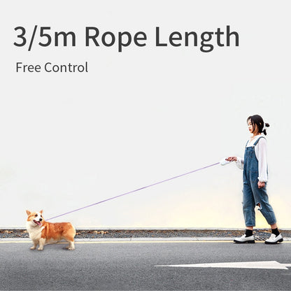 Laisse pour chien rétractable 2 en 1 LED et RVB « Spectrum »
