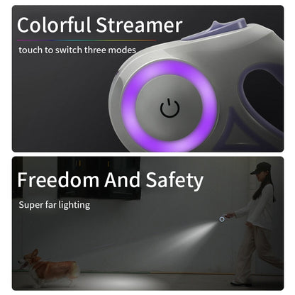 Laisse pour chien rétractable 2 en 1 LED et RVB « Spectrum »