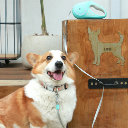 Laisse pour chien rétractable 2 en 1 LED et RVB « Spectrum »