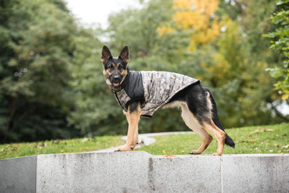 Veste camouflée officielle pour chien US Army®