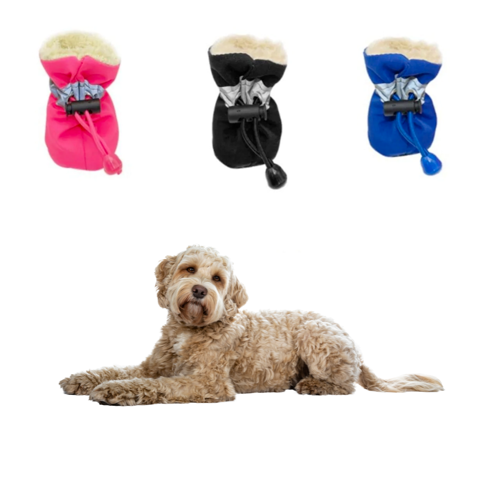 Chaussures d'hiver chaudes antidérapantes "Cozy Paws" pour chien