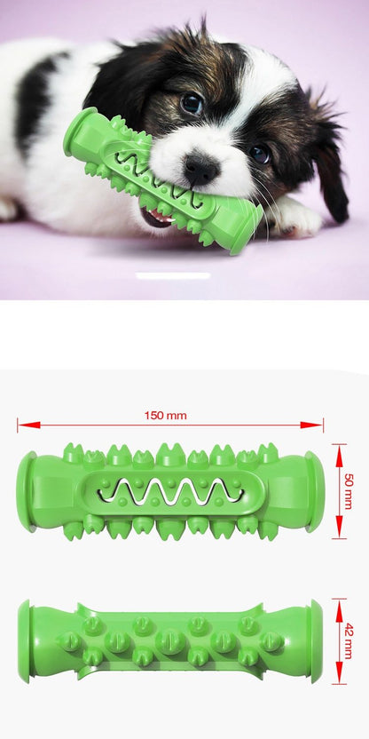 Jouet à mâcher et à nettoyer les dents 2-en-1 "DentalGrip" pour chien